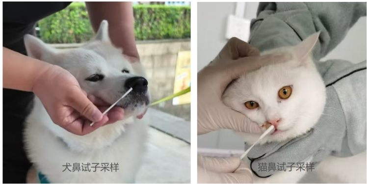 1765709550-ec891efb0f47a34