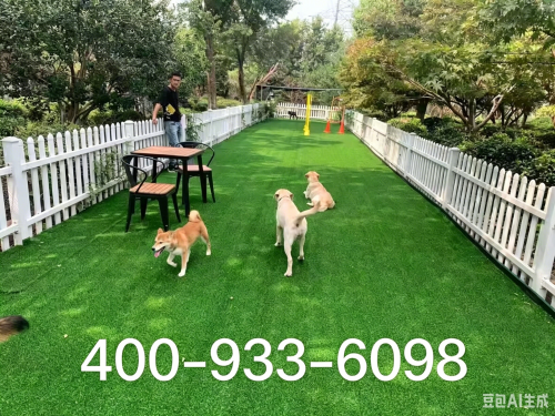 聚焦上海犬迷犬舍：合规资质与自繁自养体系下的健康保障